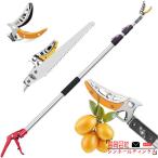  обрезка на высоком месте basami...... ножницы [ двор .. рекомендация ].. супер-легкий эластичный тип 2m длина регулировка возможность высота ветка порез . покраска Sk5 сплав сталь обрезка на высоком месте ... ветка порез . ножницы высота ветка зажим .