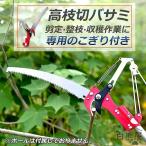  обрезка на высоком месте basami трос тип обрезка на высоком месте пила высота ветка пила обрезка на высоком месте basami высота ветка порез . легкий ножницы принадлежности для садоводства обрезка плоды . брать ветка порез зажим садоводство 