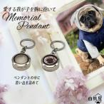  брелок для ключа фотография домашнее животное фотография собака кошка фотография печать мысль . memorial подарок День почитания пожилых людей День отца День матери Рождество день рождения подарок 