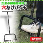  газонная трава сырой сверление аэрация 10шт.@ гвоздь заем шиповки заем дырокол газонная трава сырой шиповки газонная трава шиповки сад шиповки сверление корень порез . двор садоводство s