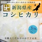 新米 コシヒカリ 新潟県産 5kg 白米　令和２年産