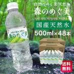 水 500ml 48本 ミネラルウォーター 500ml 48本 送料無料 熱中症対策 飲料水 天然水 森の恵み 森のめぐみ 森のめぐ美