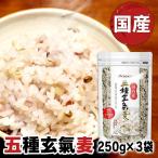 3袋 五種玄氣麦 250g（麦5種）   ベストアメニティ (D)(B) 【メール便】