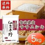 米 5kg 送料無 米5kg ササニシキ 米 5キロ お米 宮城県産ササニシキ ささにしき 仙台平野 うるち米 白米 令和7年産