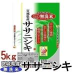 米 5kg 送料無料 ササニ