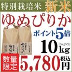 お米 10kg 令和3年産 新米 1等米 北海道産 特別栽培米（減農薬） ゆめぴりか 5kg×2袋