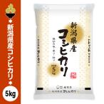 令和7年産 新潟産コシヒカリ 5kg (5kg x 1袋) 金ぼんぼり 数量限定 五ツ星お米マイスター 厳選 新規開店 セール 開催中
