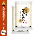 . мир 7 год производство Niigata производство Koshihikari 10kg (5kg x 2 пакет ) золотой .... ограниченное количество .tsu звезда . рис Meister тщательно отобранный новый открытие распродажа во время 
