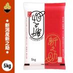 新潟生まれの新しいブランド米。　令和7年産 新潟産新之助 5kg (5kg x 1袋) 新規開店 セール 開催中 爆買