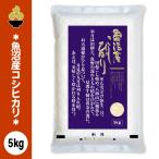 令和7年産 魚沼産コシ�