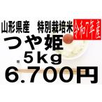 米　令和7年度産　山�