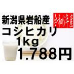 米　令和6年度産　新