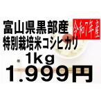 米　令和7年度産　富�