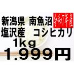 米　令和7年度産　新�