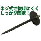 ������塼�����ѡ�������������