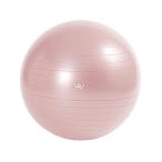  тренировка мяч 55cm WBF055