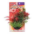 コトブキ　ＰＯＮ！！と水草　Ｓ　レッドグリーンフラワー