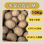 kita красный liM 10kg семенной клубень картофель jagaimo распродажа почтовый заказ бесплатная доставка огород популярный местного производства прибыль от бизнеса 