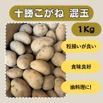 �\�������� ���� 1kg ��� ���Ⴊ���� �W���K�C��
