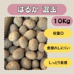 . ... шар 10kg семенной клубень картофель jagaimo