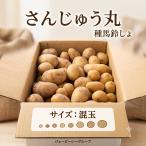 ��� ���Ⴊ���� ���񂶂イ��  5kg  �a�C�ɋ��� PVP�i�� �H�A�� �t�A�� �ƒ�؉� ��������  ���� �͔|�p �H�W���K