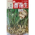 3 пакет и больше . купон скидка арахис вид 50ml..... лак sei крупный маленький пакет Peanuts орехи овощи бесплатная доставка садоводство популярный культивирование семена .. дешевый 