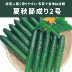 ３袋以上でクーポン割引 夏秋節成り2号 胡瓜 種  23粒