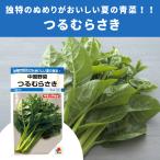 ３袋以上でクーポン割引 中国野菜 つるむらさき 9ml 