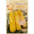 3 пакет и больше . купон скидка Sunny шоколад lyra маленький пакет 20ml кукуруза бесплатная доставка семена ... овощи вид овощи садоводство популярный культивирование семена вид .. овощи. вид .. прекрасный тест ..