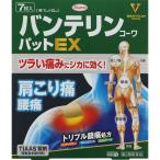 プラスターテープ剤