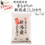 ショッピングお米 令和５年産　お米　5kg  特別栽培米 昔ながらの新潟産こしひかり　5kg×1袋　送料無料（一部地域を除く）