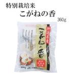 〔切り餅〕特別栽培米100％！こがねの香（かおり）※シングル包装※400g(約9枚)