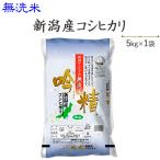 お米 5kg  無洗米 新潟産コシヒカリ5kg 29年産 送料無料(一部地域を除く)※発送に2.3日かかる場合があります。