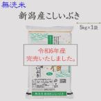 令和５年産　お米 5kg 無洗米新潟産こしいぶき5kg  送料無料(一部地域を除く)※発送に2.3日かかる場合があります。