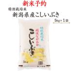 新米予約令和７年産お米5kg特別栽...