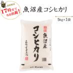 令和6年産 お米 5kg 白米 魚沼産コシヒカリ 5kg×1袋 ※送料無料(一部地域を除く)