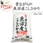 令和５年産　お米 5kg 　昔ながらの魚沼産こしひかり 5kg×1袋※送料無料（一部地域を除く）高田屋お買い得企画