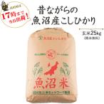 令和５年産　お米 25kg