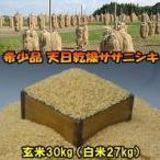 米　天日干し　ササニシキ　玄米　3...