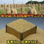 米 天日干し ササニシキ 玄米 5kg 白米にすると4.5kg 令和6年産米 岩手県産 お米 5キロ 発送日当日精米 お米アレルギー対策にも