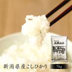 米 令和6年産 お米 5kg コシヒカリ 新潟 送料無料 五頭山系 美味しいお米 5キロ 新潟県産 こしひかり おいしいお米 単一原料 白米 精米 あすつく
