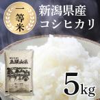 お米 5kg 5キロ 米 コシ