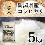 お米 5kg 5キロ 米 コシ