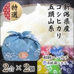 米 ギフト のし お米 新潟 コシヒカリ 2合×2個 ハンカチ セット おしゃれ 贈り物 食べ物 食品 内祝い お返し 挨拶 ギフトボックス 送料無料