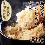 無農薬玄米 玄米 無農薬 5kg 令和5年産 コシヒカリ 新潟 送料無料 5キロ 無農薬栽培 化学肥料不使用米 美味しい玄米 健康 おいしい ミネラル ビタミン あす楽