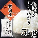 米 令和5年 米 5Kg 送料無料 コシヒカリ 新潟 あすつく 新潟県産 こしひかり 美味しいお米 5キロ 産直 冷めても美味しい