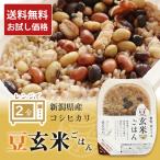 玄米 パックご飯 お米 