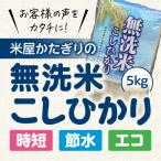 米 令和5年産 無洗米 5k