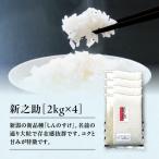 新米予約 新之助 2kg×4 