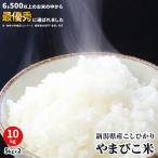 ショッピング新潟 米 10kg 新潟産コシヒカリ 令和5年 お米 新潟 こしひかり 美味しいお米 5kg×2 送料無料 あすつく 高級米 金賞受賞米 やまびこ米 のし